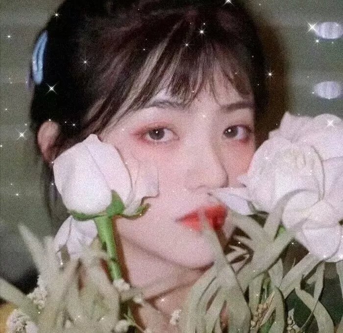 螳螂捕蝉